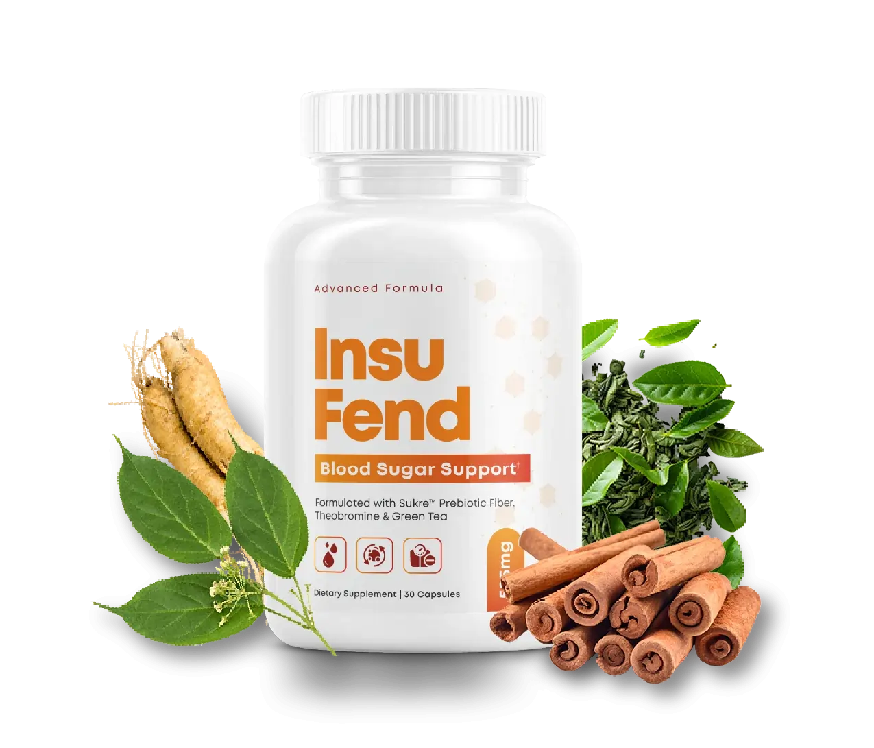 InsuFend Natural Formula Supplements